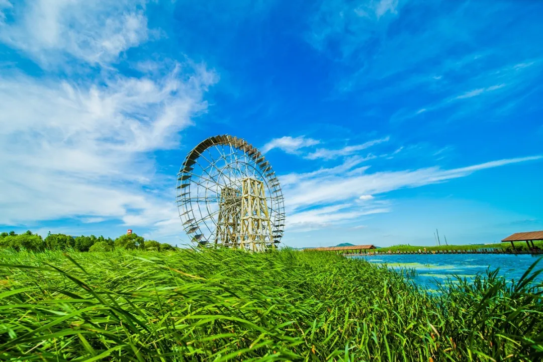 苏州周末二日游太湖边的夏日风光邀您欣赏