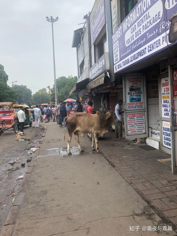 真实的印度到底是怎么样的？为大家还原一个真