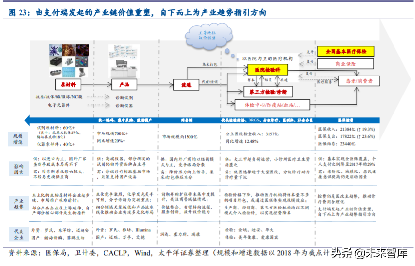 免疫诊断行业专题报告：国产化学发光乘风破浪