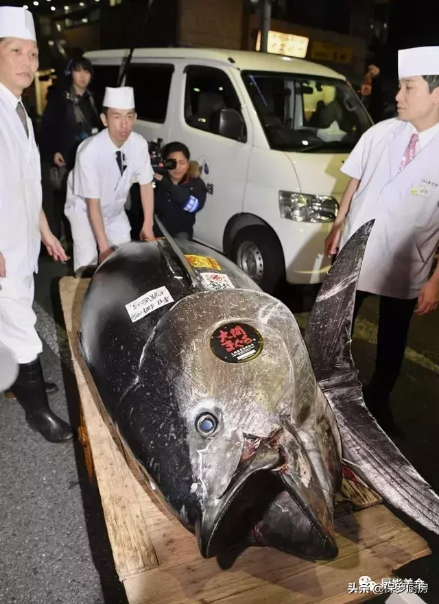 史上最全的顶级“海鱼”海鲜大全,全吃过的你人生就到达了巅峰!