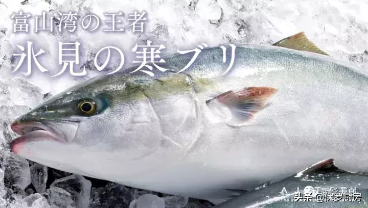 史上最全的顶级“海鱼”海鲜大全,全吃过的你人生就到达了巅峰!