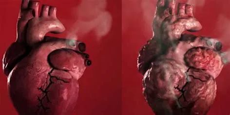 吸煙不止會帶來肺部損傷，它同樣會給心臟帶來傷害