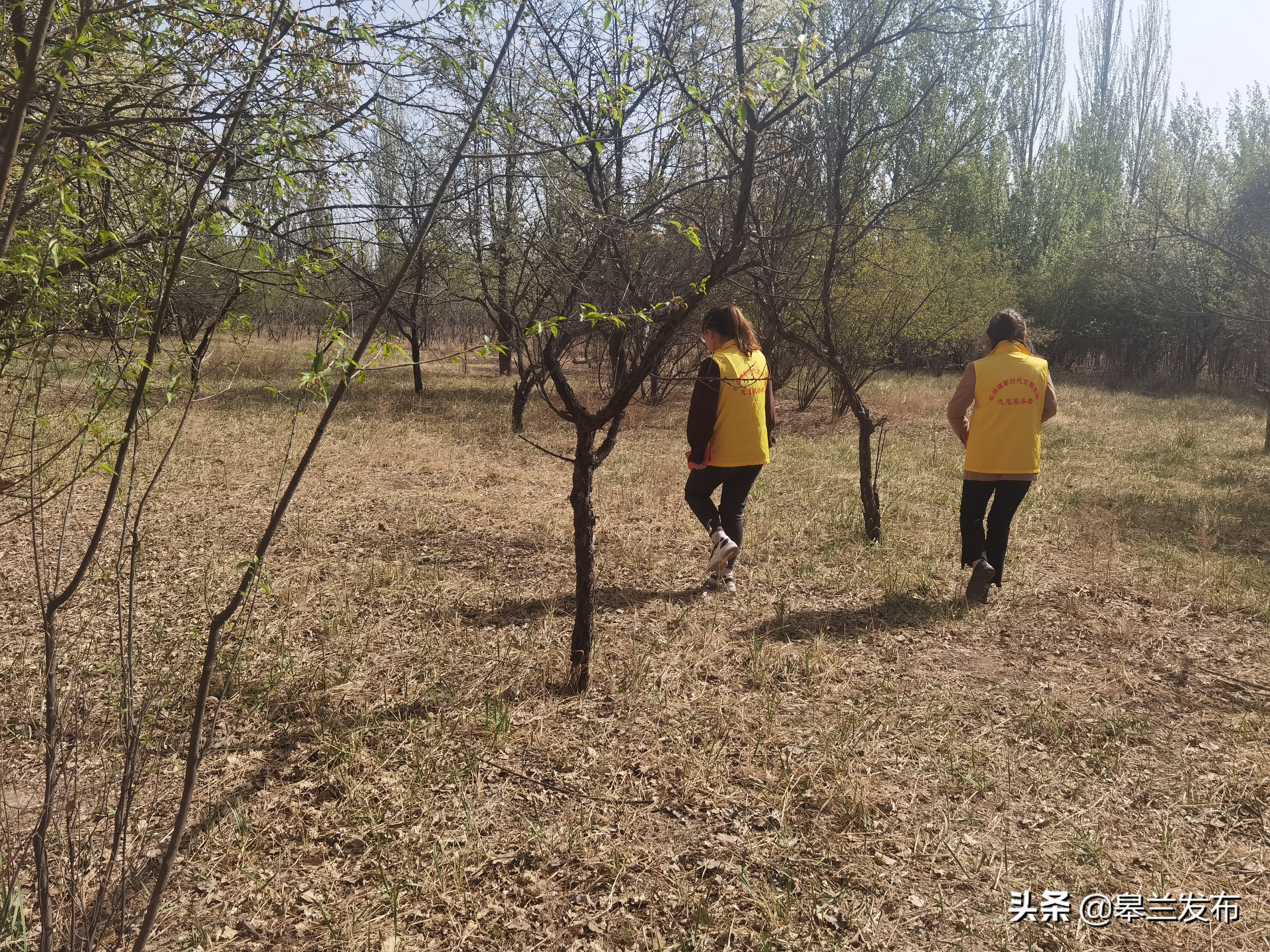 ������ʯ����չ̤���������ж�