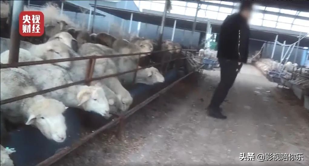 央视3·15刚刚曝光！这些知名品牌被点名…