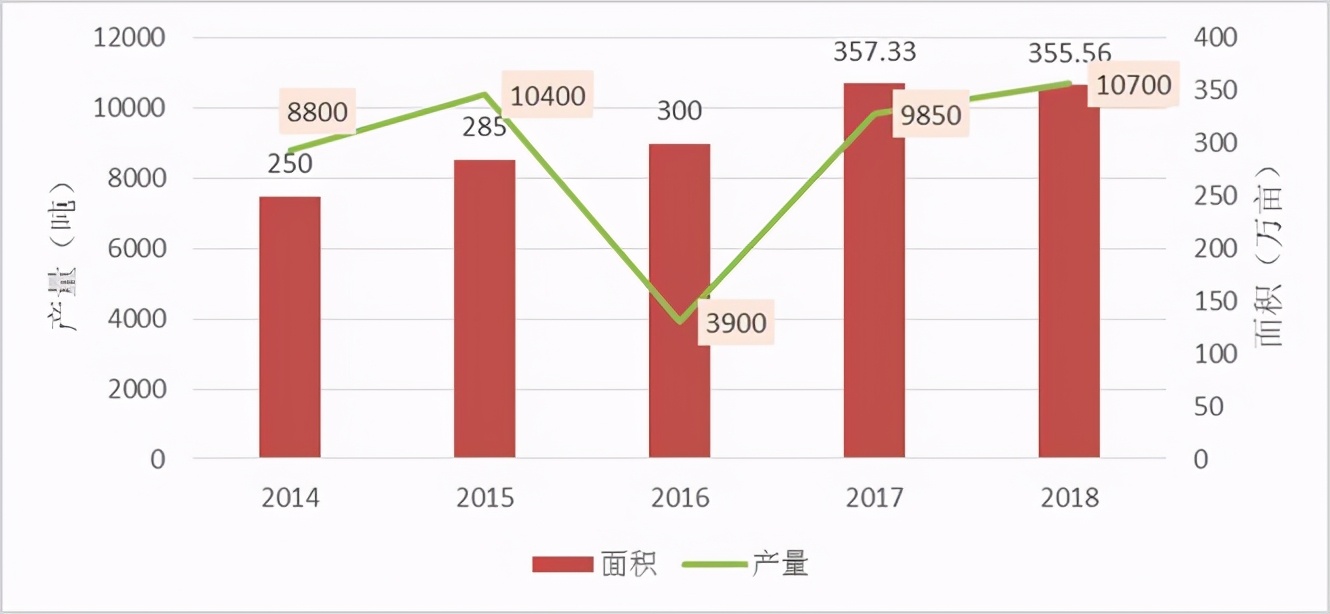 2020年我国草果市场与产业调查分析报告
