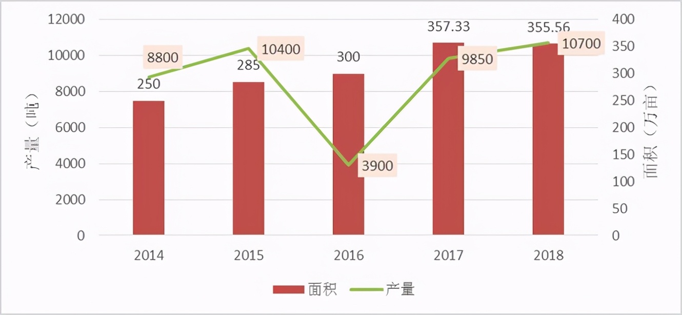 2020年我国草果市场与产业调查分析报告