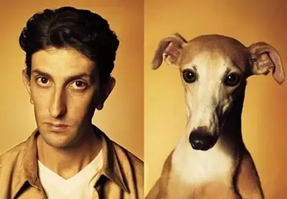 关于狗子的21个神奇冷知识，知道一半的都很了不起