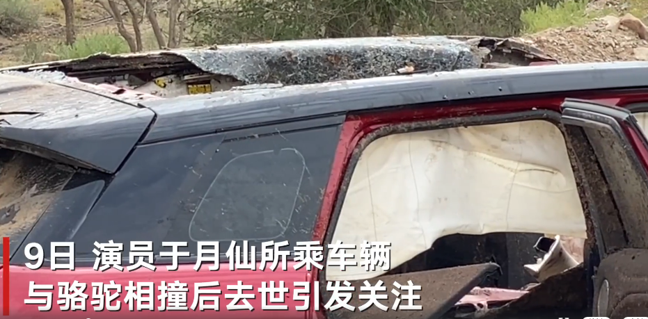 于月仙乘坐车辆车顶被掀开，交警称于月仙坐副驾驶后方位置，车上四人均系了安全带