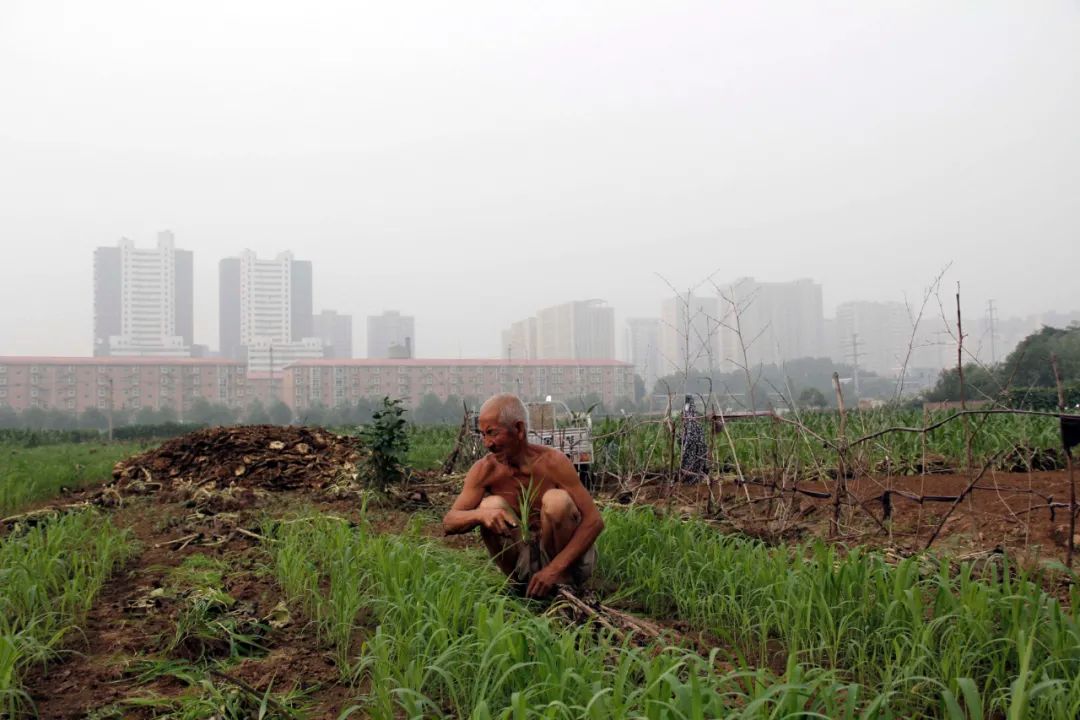 北大社会学家王思斌：一些地方农村走向凋敝，我对此十分忧心
