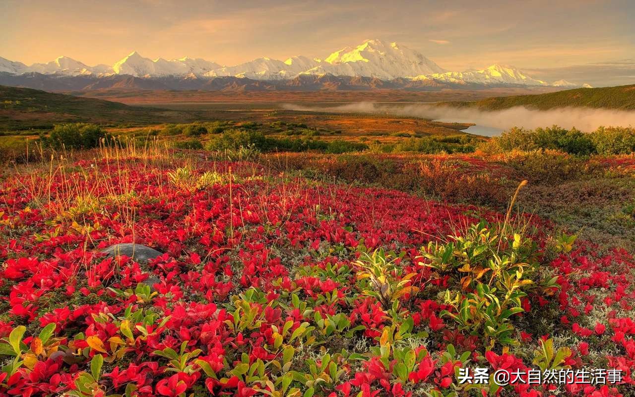 一辈子很短请好好爱自己的说说 人生短暂开心就好的句子图片