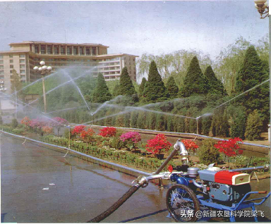 水肥一体化技术根区水肥的本质到底可以分为哪四类呢？