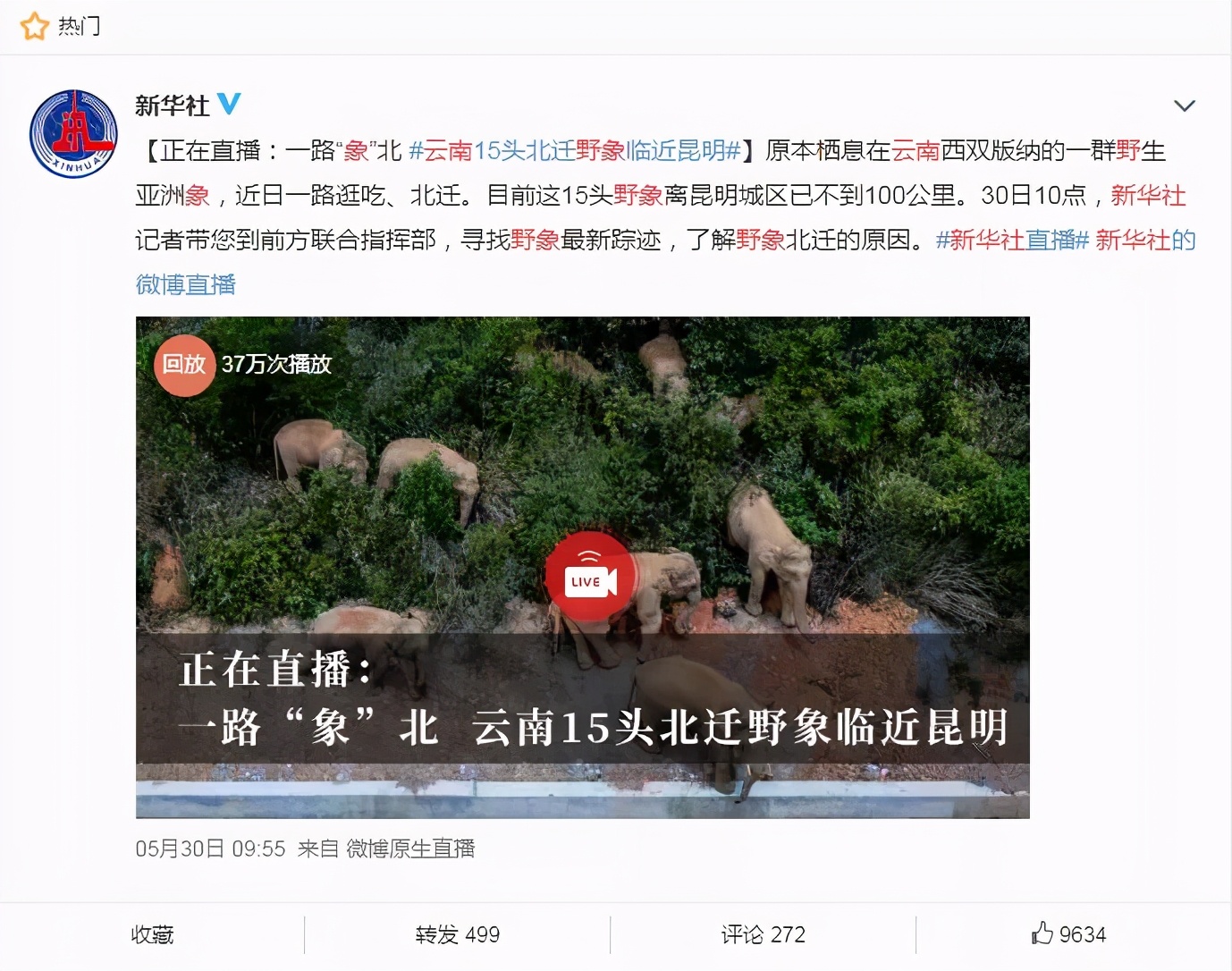 野象北上“出走”是受到刺激或驚嚇而導致？