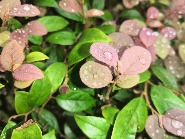 天上掉馅饼，我被砸中了