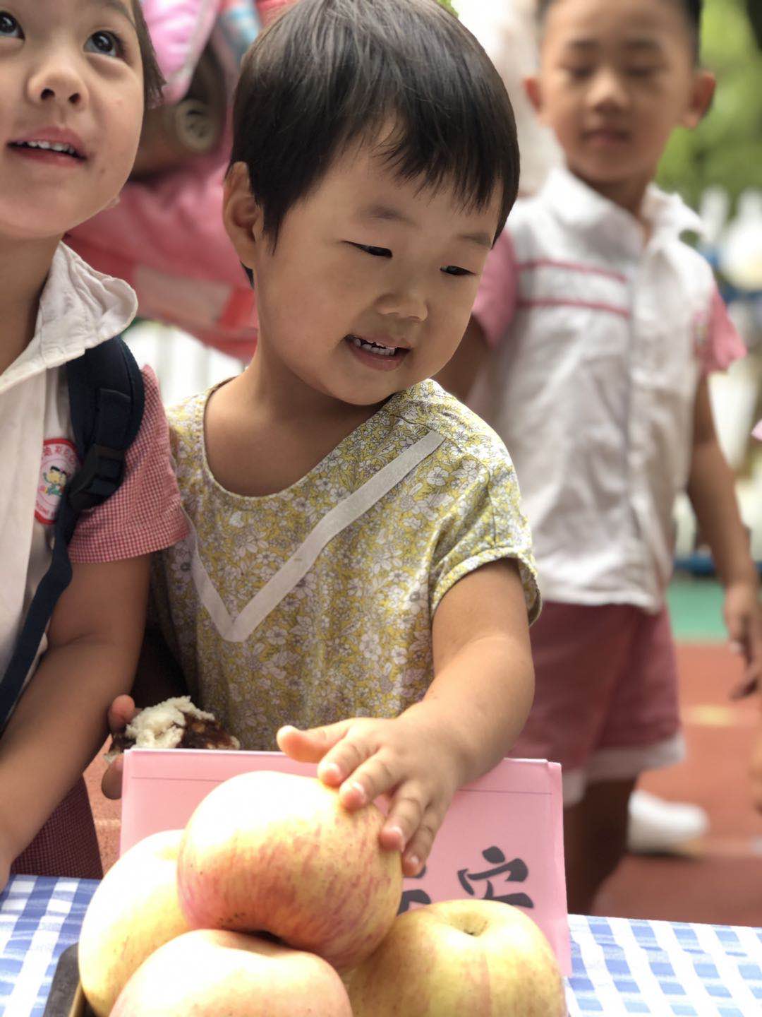 园外园小朋友开学第一周周报