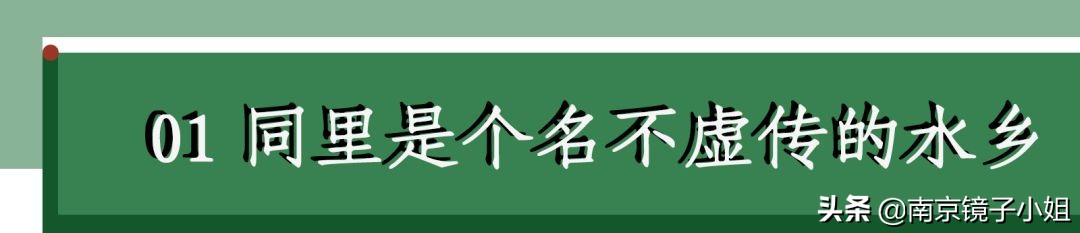 这个秋天要和你最爱的人去一次同里