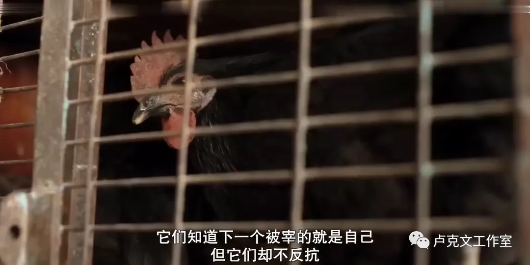 当今世界的底层逻辑
