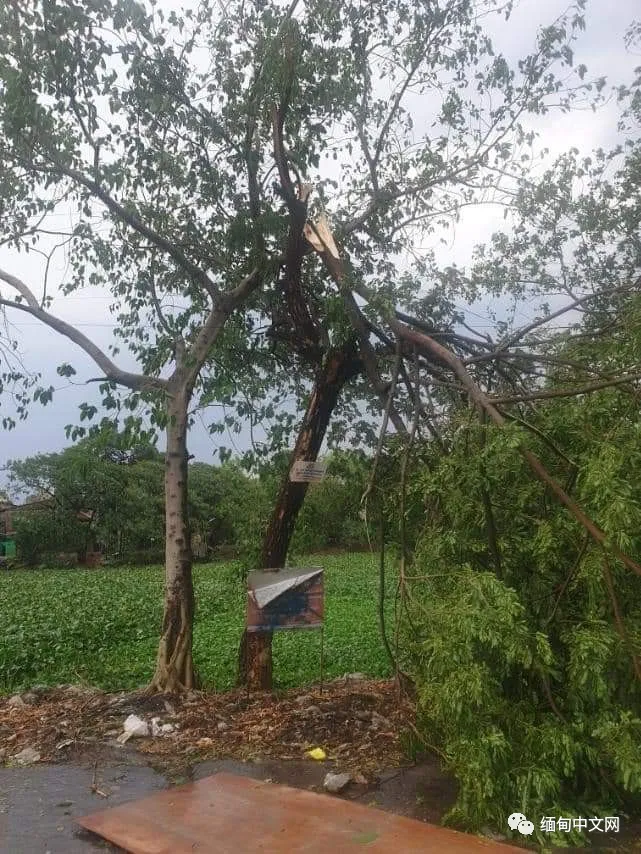 缅甸遭遇强风暴雨冰雹袭击，多个城市一片狼藉