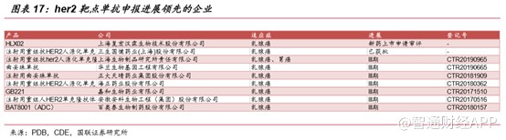 新股解读｜吃惯汉堡、融惯美金，再鼎医药何时脱“未盈利”之帽？