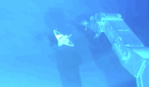 浙大机器鱼登Nature封面！22cm身段，探索地球最深海沟