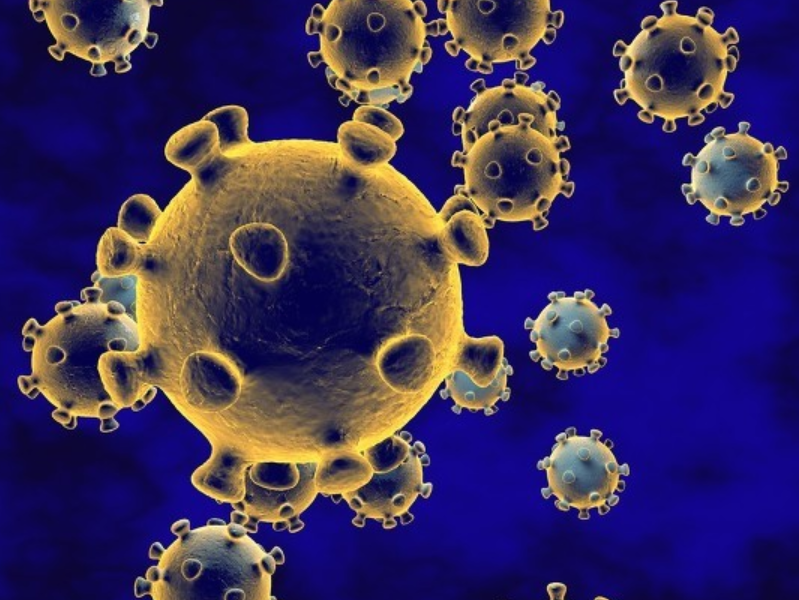 意大利去年12月样本现新冠病毒，与武汉参考序列100%相同