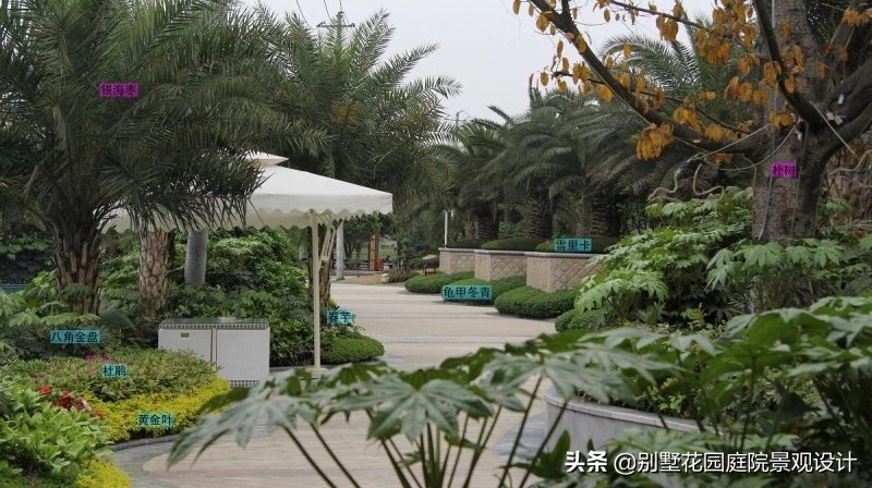 別墅庭院常用植物分享，附照片及名字標(biāo)注（珍藏版）