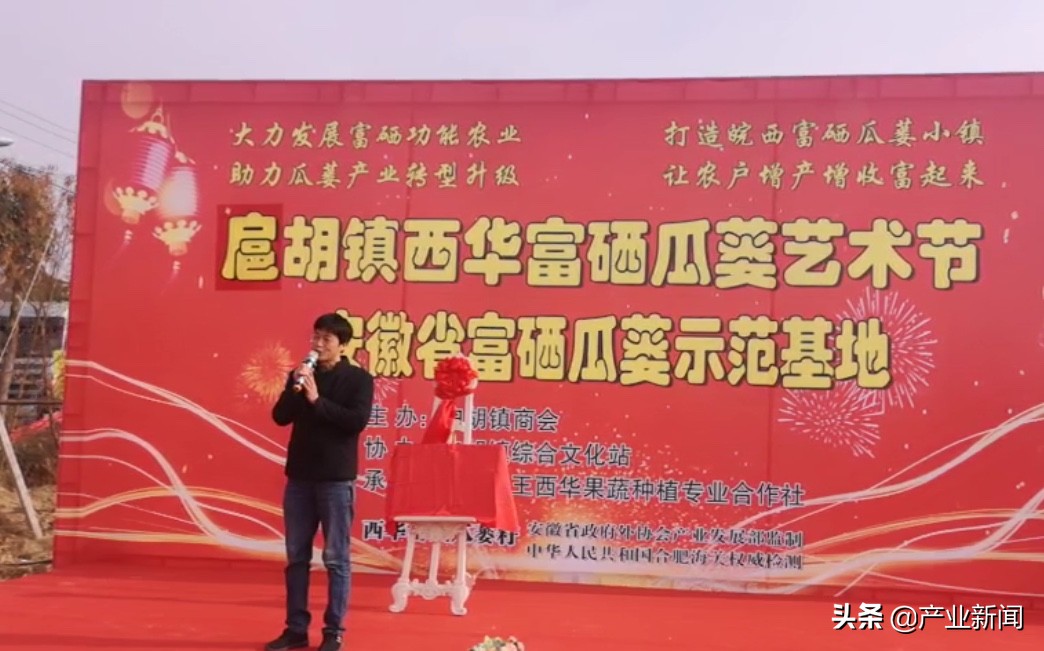 （安徽省）富硒稻米发展可行性报告——种植特