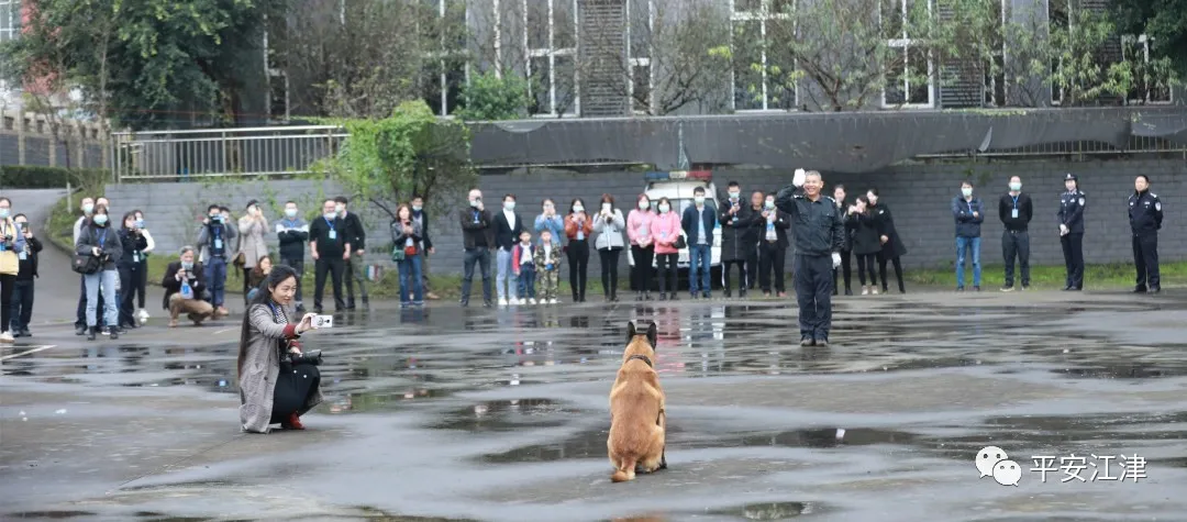 江津区|“邀您进警营，解锁新‘警’彩”——江津公安组织开展警营开放日活动