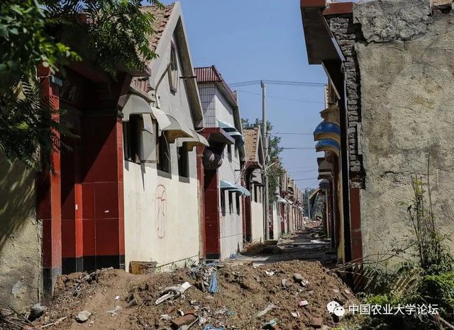 为什么山东像着魔一样花费巨额财力去合村并居