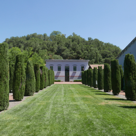 飞马酒庄：最酷的后现代酒庄