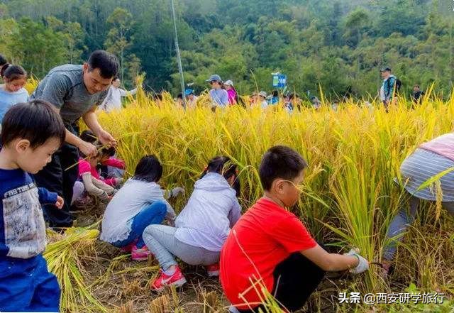 农业部、教育部通知：预打造一批农耕文化实践教育基地