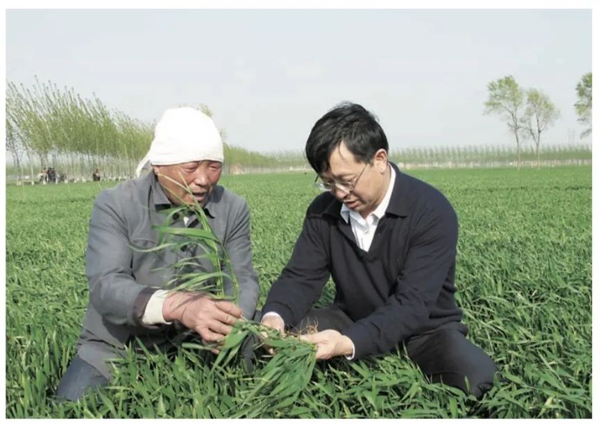 保丰收增营养，粮食也要靠“菜谱”