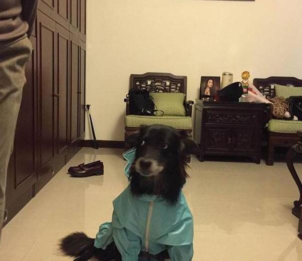 林依晨7年豪门婚姻像封建社会，没生孩子无底气