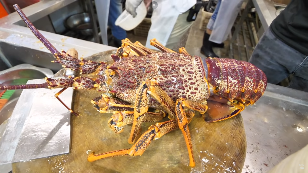 對華出口停滯後，澳大利亞龍蝦價格暴跌50%！ 美國還搶生意？