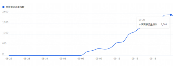 推广实操技巧，标品类目爆款打造