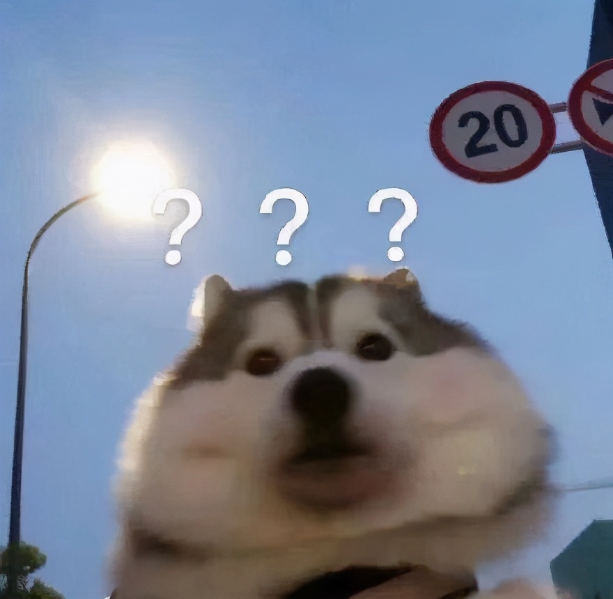 韭菜為什麼能一茬接著一茬割