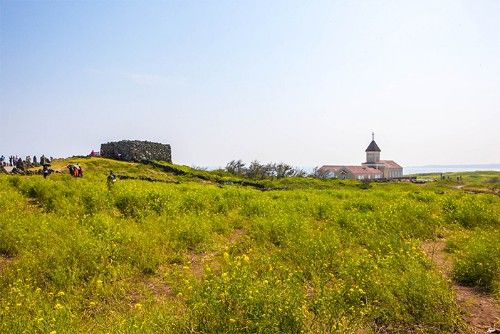 韩国春季赏花胜地,好多人旅行都会去的地方