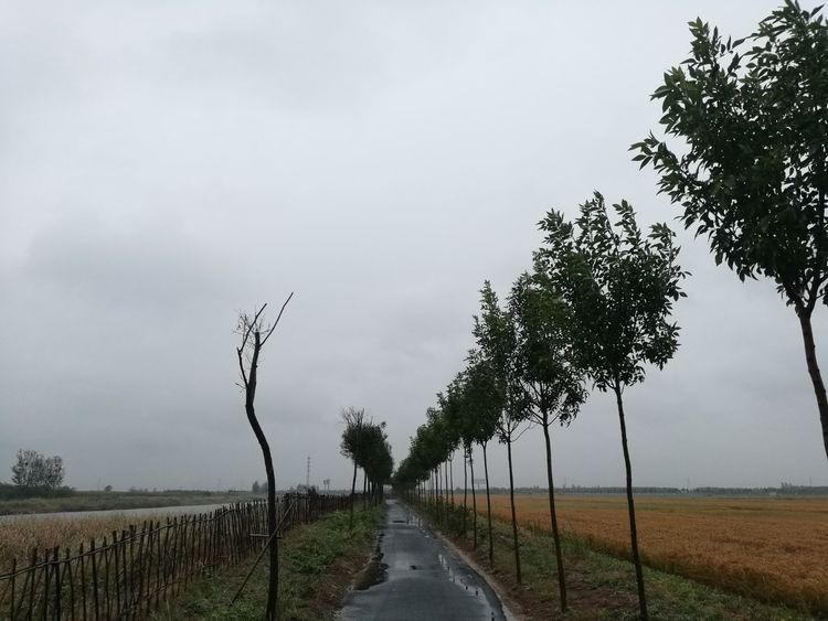 中国著名雕塑家邱天老师告诉您：钢铁装置雕塑是怎么做成的！（二）
