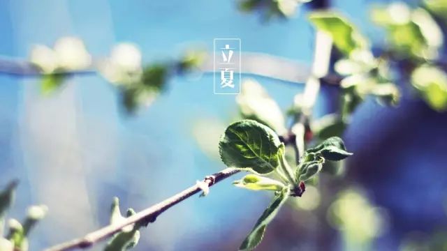 立夏诗词，在诗词的微风里，清凉一夏！-第3张图片-非凡网