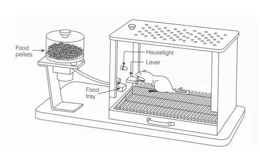 如何在“牛年”的“熊市”赚钱？