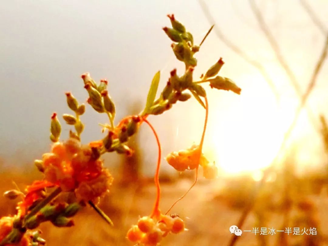 散文诗：秋天，适合一场说走就走的旅行-第2张图片-非凡网