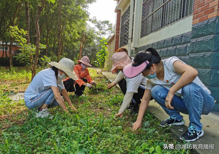 潍坊渤海实验学校“四全”思路高效落实“五清三提”(图4)