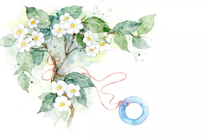 古风美物插画 | 裁为合欢扇，团团似明月