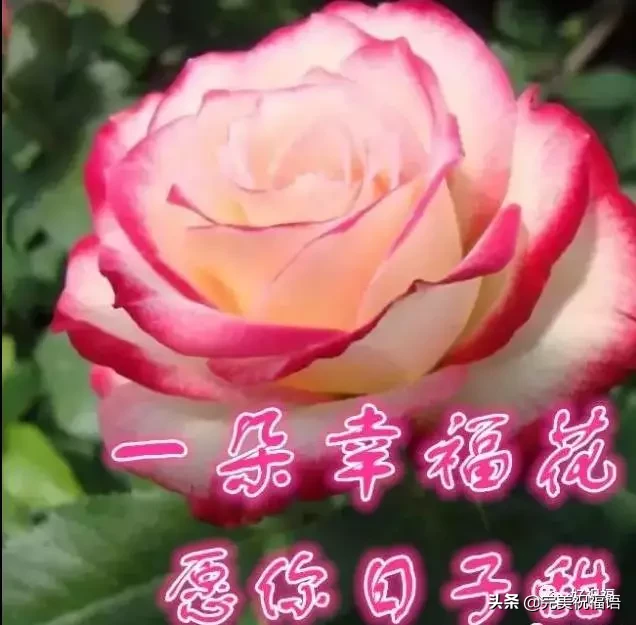 不管|初二早上好不管你身在何方 收到这份祝福你就是最有福的