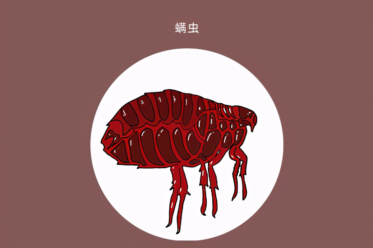 經常覺得耳朵發癢，卻又掏不出東西，這是怎麼回事？