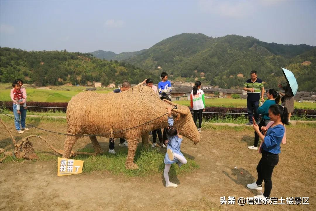阳春三月 · 永定初溪土楼赴一场春之约