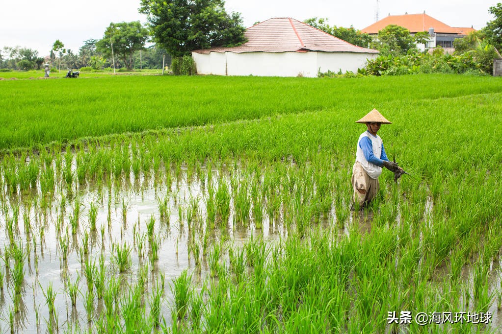 地球變綠中印成最大功臣，但專家對印度非常擔憂