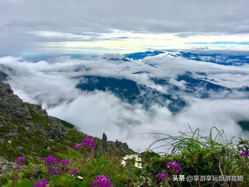 天气入夏酷热难当，全国最值得打卡的避暑地盘点。收藏这篇不迷路
