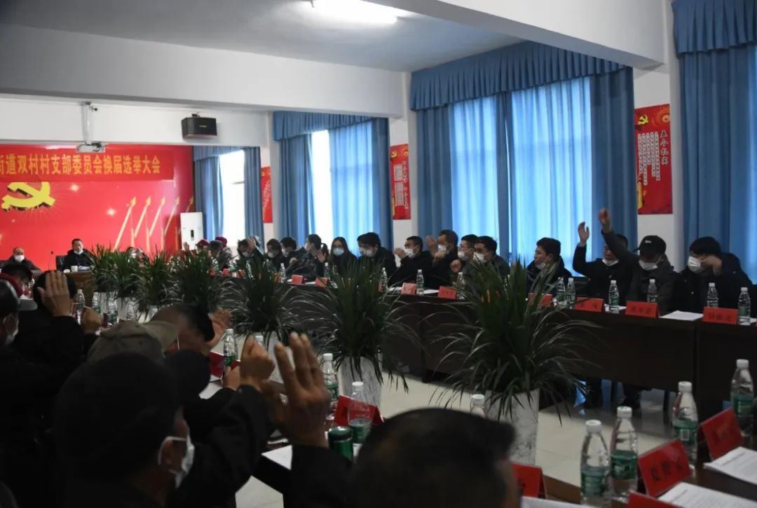 黄秀佳：乡村振兴“建功必须有我”