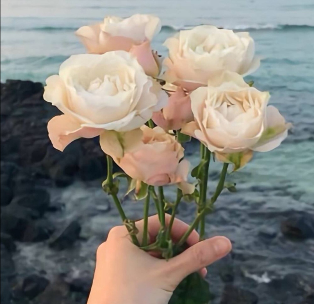 《愿世间所有美好，都恰逢其时》：时间能治愈的，是愿意自救的人
