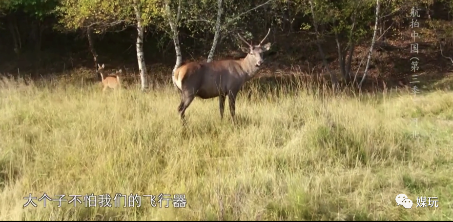 彩蛋不断！这一季《航拍中国》是怎样靠“翻车